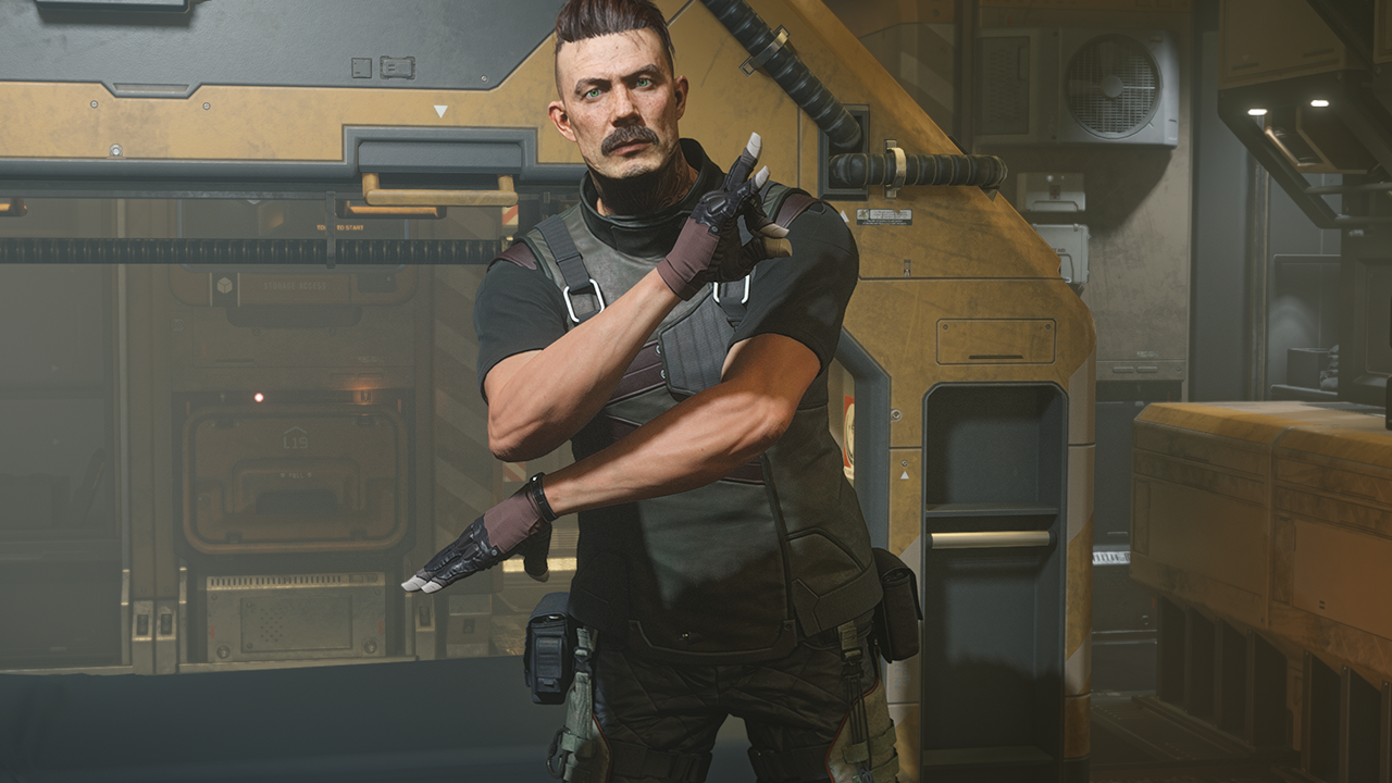 Star Citizen hidden ASL Emotes
